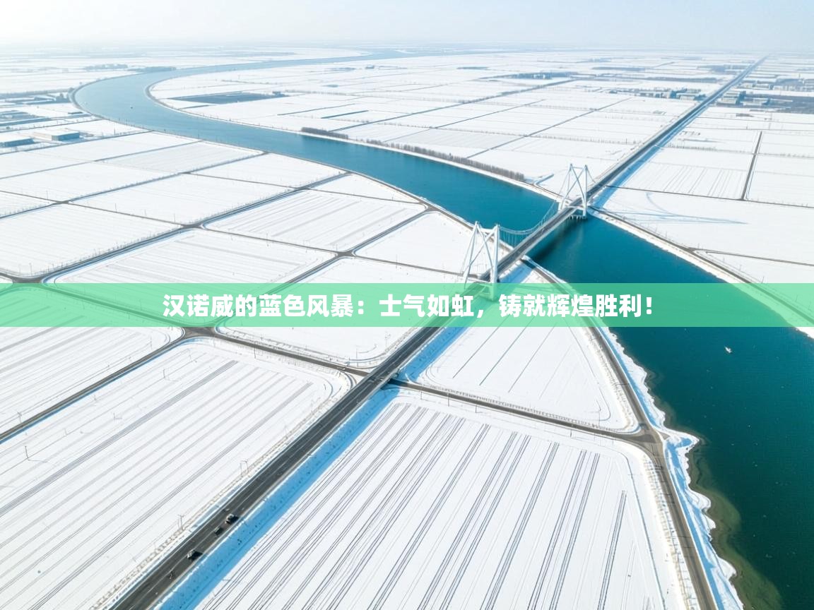 汉诺威的蓝色风暴：士气如虹，铸就辉煌胜利！  第1张